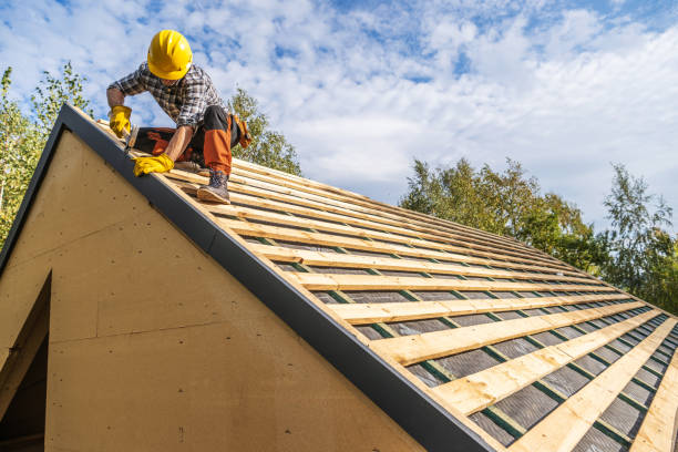Best Gutter Installation and Roofing  in Tennille, GA